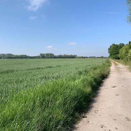 In By The Apartamento *